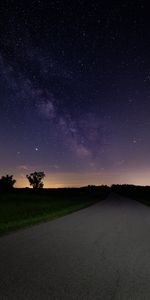 Naturaleza,Estrellas,Noche,Arbusto,Camino,Cielo Estrellado