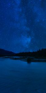 Etoiles,Forêt,Nature,Nuit,Lac,Ciel Étoilé