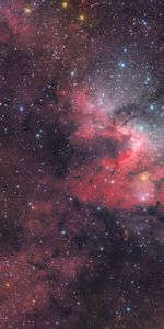 Estrellas,Rosa,Nebulosa,Rosado,Universo