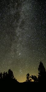 Etoiles,Silhouette,Arbres,Ciel Étoilé,Nébuleuse,Nuit,Sombre