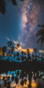 Stars,Starry Sky,Nature,Night,Palms,Milky Way