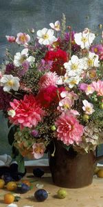 Still Life,Bouquet,Flowers,Chrysanthemum,Plums,Vase