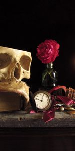 Still Life,Death,Background