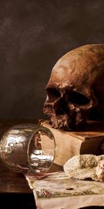 Still Life,Objects,Art Photo,Skeletons,Death