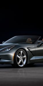 Voitures,Pastenague,Chevrolet,Raie,C7