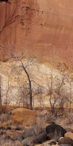 Noyaux,Arbres,Nature,Sable,Mur,Canyon,Automne