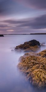 Гладь Воды,Камни,Природа,Залив,Водоросли,Рассвет