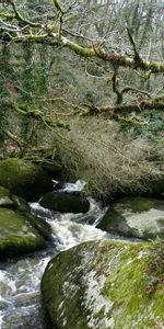 Stones,Flow,Nature,Rivers,Forest