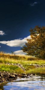 Stones,Lake,Shore,Bank,Wood,Tree,Colors,Color,Paints,Signature,Nature,Lonely