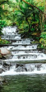 Cascada,Flujo,Naturaleza,Stones,Hojas,Corriente,Tropical,Plantas