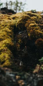 Stones,Macro,Musgo