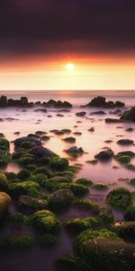 Stones,Moss,Nature,Sunset,Horizon