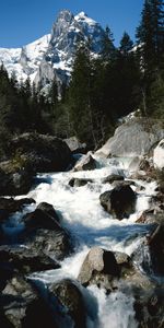 Naturaleza,Stones,Las Rocas,Rocas,Fluir,Velocidad,Comió,Ato,Río De Montaña,Río De La Montaña,Árboles,Montañas,Flujo