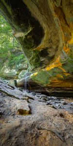 Stones,Rocks,Forest,Nature,Arch,Cave