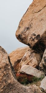 Stones,Rocks,Lumps,Blocks,Nature,Branch