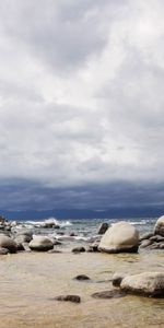 Stones,Sea,Coast,Spruce,Fir,Nature,Sand