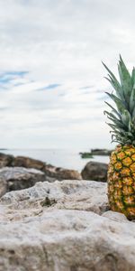 Stones,Shore,Bank,Pineapple,Food