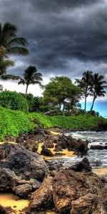 Stones,Sky,Clouds,Shore,Bank,Nature,Palms,Storm,Beach