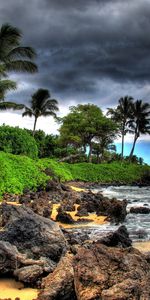 Stones,Sky,Palms,Landscape,Beach