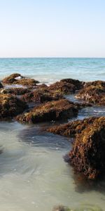 Stones,U A E,Persian Gulf,Uae,Nature,Sea,Waves,Beach,Dubai