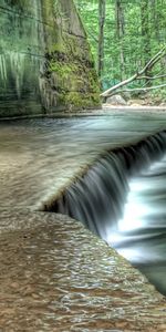 Noyaux,Nature,Murs,Rivières,Jungle