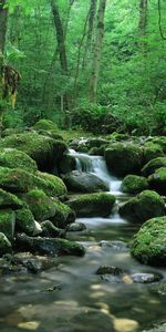 Stones,Waterfall,Flow,Moss,Nature