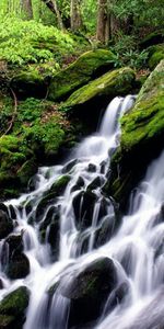 Cascada,Naturaleza,Stones,Bosque,Musgo,Cascadas