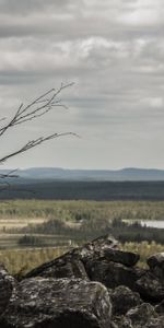 Stones,Wood,Tree,Lapland,Nature