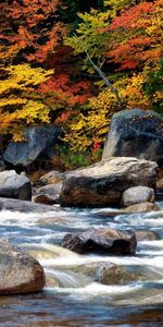 Otoño,Hojas,Flujo,Pueblo,Corriente,Murmullo,Gluglú,Naturaleza,Agua,Stones,Fluir,Pueblos