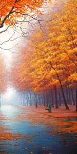 Streets,Landscape,Trees,Autumn