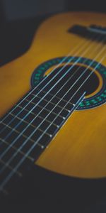 Strings,Musical Instrument,Acoustic Guitar,Guitar,Music