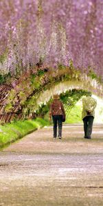 Naturaleza,Florecer,Floración,Paseo,Primavera,Jardín,Personas