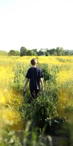 Stroll,Nature,Flowers,Field,Child,Summer