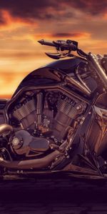 Style,Sandra Dombrovsky,Motorcycles,Motorcycle,Bike