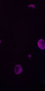 Submarine,Glow,Underwater,Jellyfish,Violet,Dark,Purple