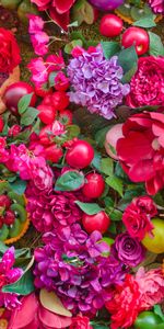 Summer,Cakes,Flowers,Fruits,Still Life