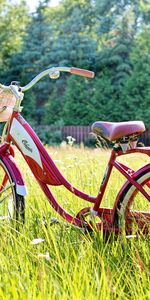 Summer,Miscellanea,Miscellaneous,Sunlight,Bicycle,Vintage