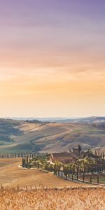 Domaine,Champ,Lumière Du Soleil,Village,Nature,Été