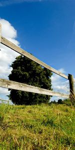 Summer,Wood,Tree,Planks,Nature,Fence,Board