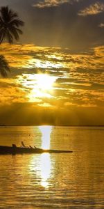 Sun,Bungalow,Nature,Sunset,Glare,Palms,Island