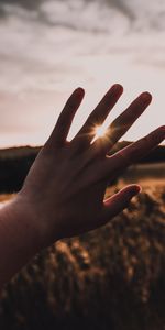 Sun,Hand,Miscellanea,Miscellaneous,Beams,Rays,Sunlight,Fingers