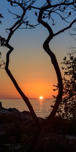 Sun,Horizon,Branches,Setting,Sea,Nature,Sunset