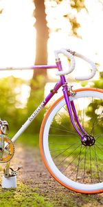 Sun,Miscellanea,Mood,Summer,Miscellaneous,Bicycle,Spring