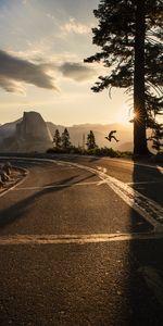 Sun,Pine,Miscellaneous,Road,Miscellanea,Bounce,Jump