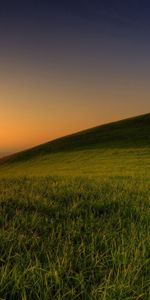 Sun,Shine,Light,Wood,Tree,Evening,Hill,Serenity,Nature,Grass,Summer