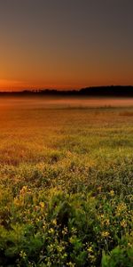 Sun,Twilight,Dusk,Haze,Disk,Nature,Sunset,Field