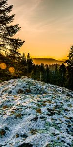 Butte,Lumière Du Soleil,Neige,Nature,Arbres