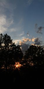 Poutres,Rayons,Nature,Sky,Branches,Arbres,Coucher De Soleil,Sombre