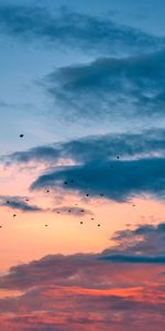 Nature,Nuages,Vol,Oiseaux,Coucher De Soleil