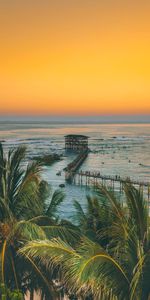 Puesta Del Sol,Edificio,Océano,Palms,Muelle,Oceano,Naturaleza